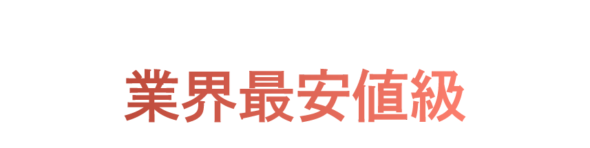 業界最安値級プラン紹介